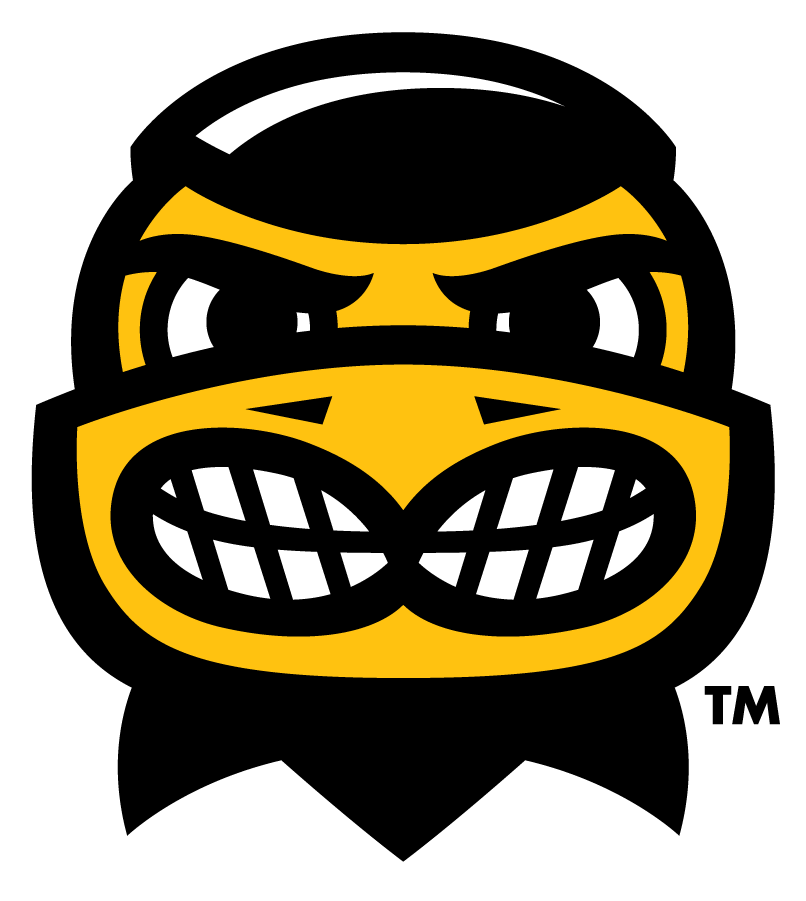 Iowa Hawkeyes 2013-Pres Mascot Logo v2 t shirts iron on transfers